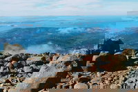 Mount Wellington Ultimate Experience Tour from Hobart