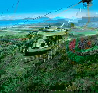 Kuranda Rainforest station Scenic railway and Skyrail tour - Events Australia