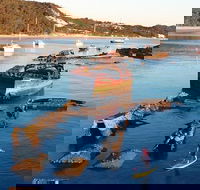 Adventure Moreton Island Wrecks Adventure Package - Events Australia