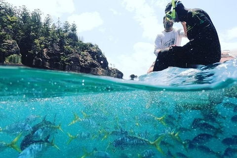 2 Night Small Group Whitsundays Sailing Adventure Aboard Mandrake - Events Australia 5