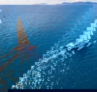 2-Night Whitsunday Islands Sailing Adventure on Trimaran Avatar - Accommodation Europe