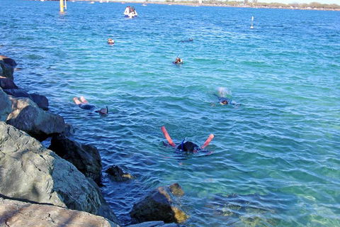 Wave Break Island Scuba Diving On The Gold Coast - Events Australia 1