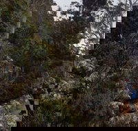 kunanyi / Mt. Wellington Guided Hiking Tour - Events Australia