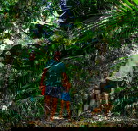 Full Day Daintree Rainforest and Mossman Gorge Tour - Events Australia