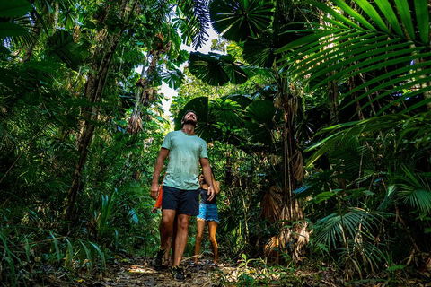 Full Day Daintree Rainforest And Mossman Gorge Tour - Events Australia 0