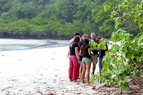 Full Day Daintree Rainforest And Mossman Gorge Tour - Events Australia 2