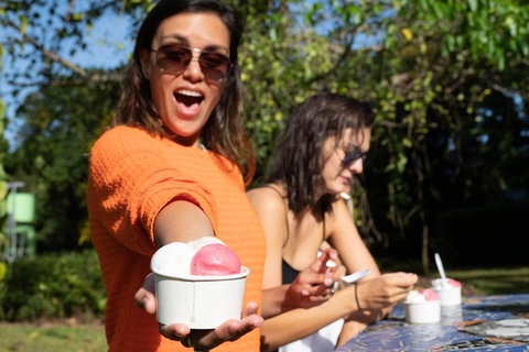 Full Day Daintree Rainforest And Mossman Gorge Tour - Events Australia 3