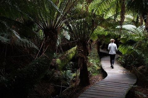 Private Tour Of Melbourne - Events Australia 2