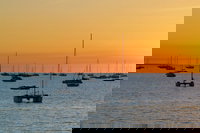 Darwin Shore Excursion Hop-on Hop-off Bus Tour