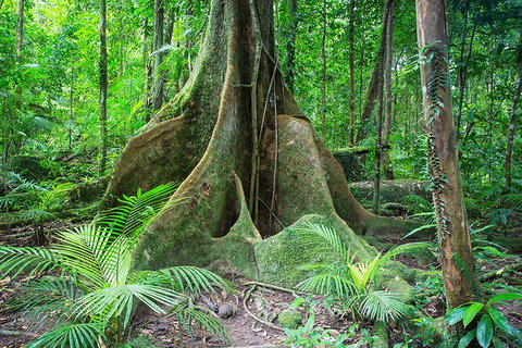 Mossman Gorge Adventure Day - Events Australia 4