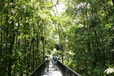 Daintree Dreaming Traditional Aboriginal Fishing From Cairns Or Port Douglas - Events Australia 3