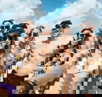 Whitsunday Islands Sailing Adventure - Events Australia