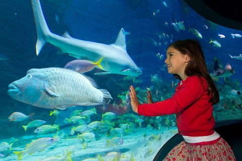 SEA LIFE Melbourne Aquarium Admission Ticket - Events Australia 1