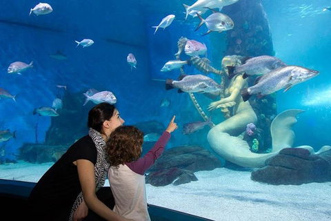 SEA LIFE Melbourne Aquarium Admission Ticket - Events Australia 4