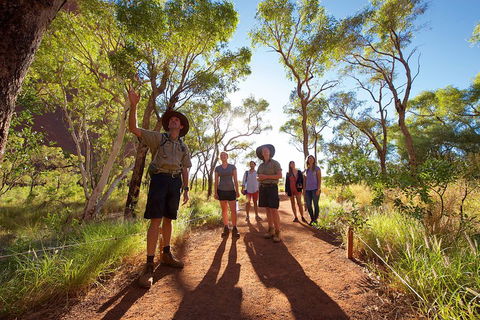 Uluru Small Group Tour Including Sunset - Events Australia 0