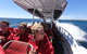 Adventure Rottnest Tour With Ferry & Adventure Cruise From Perth Or Fremantle - thumb 0