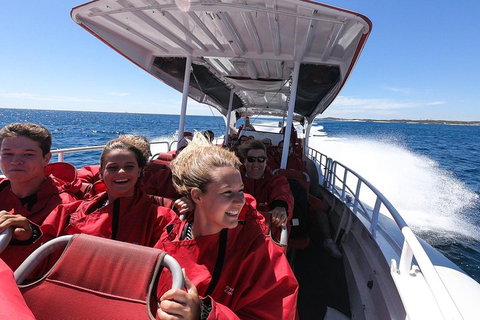 Adventure Rottnest Tour With Ferry & Adventure Cruise From Perth Or Fremantle - Tourism Bookings 0