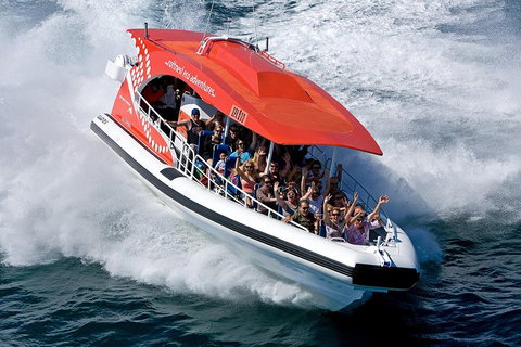 Adventure Rottnest Tour With Ferry & Adventure Cruise From Perth Or Fremantle - Tourism Bookings 2