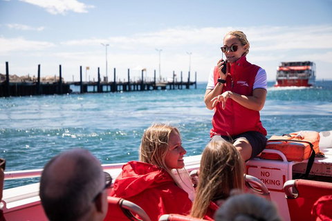 Adventure Rottnest Tour With Ferry & Adventure Cruise From Perth Or Fremantle - Tourism Bookings 4