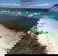 Experience Rottnest with Ferry  Bike Hire from Perth or Fremantle - Events Australia