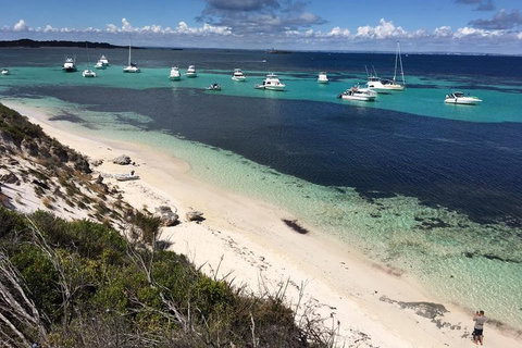 Experience Rottnest With Ferry & Bike Hire From Perth Or Fremantle - Events Australia 0