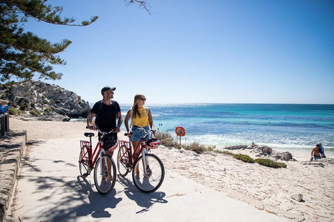 Experience Rottnest With Ferry & Bike Hire From Perth Or Fremantle - Events Australia 4
