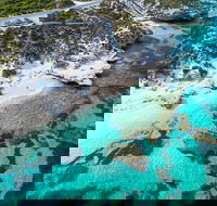 Rottnest Island Round-Trip Ferry from Perth or Fremantle - Events Australia