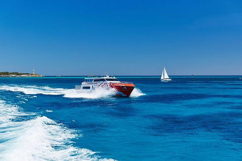 Rottnest Island Round-Trip Ferry From Perth Or Fremantle - Events Australia 4