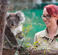 Small-Group Phillip Island Penguin Parade Day Tour from Melbourne - Tourism Bookings