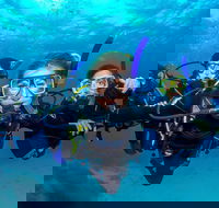 Great Barrier Reef Diving and Snorkeling Cruise from Cairns - Events Australia