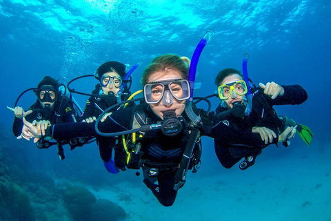 Great Barrier Reef Diving And Snorkeling Cruise From Cairns - Events Australia 0