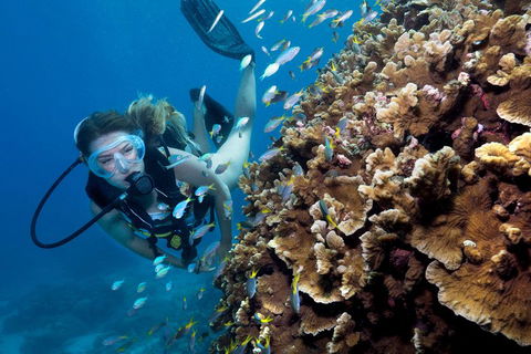 Great Barrier Reef Diving And Snorkeling Cruise From Cairns - Events Australia 1