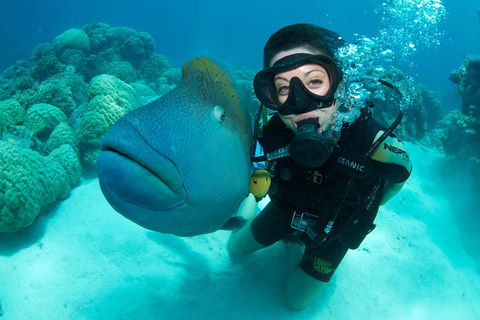 Great Barrier Reef Diving And Snorkeling Cruise From Cairns - Events Australia 2