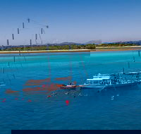 Ocean Free Green Island  Great Barrier Reef Snorkel Cruise Cairns 25 guests - Events Australia
