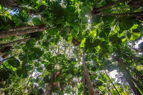 5 Day Australia Retreat: Queensland Daintree - Tourism Bookings 2