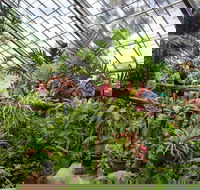 Australian Butterfly Sanctuary - Events Australia