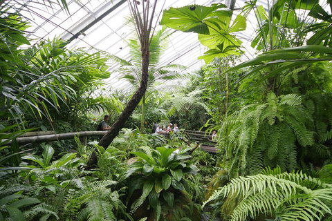 Australian Butterfly Sanctuary - Events Australia 3