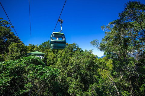Classic Kuranda By Skyrail And Scenic Railway Including Rainforestation, Koala And Wildlife Park And Pamagirri Aboriginal Experi - Tourism Bookings 0