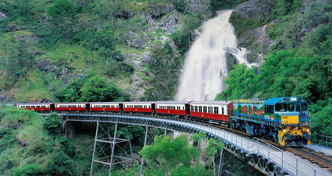 Classic Kuranda By Skyrail And Scenic Railway Including Rainforestation, Koala And Wildlife Park And Pamagirri Aboriginal Experi - Tourism Bookings 1