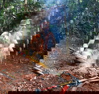 Kuranda Highlights including Rainforestation Aboriginal Culture and Wildlife - Events Australia