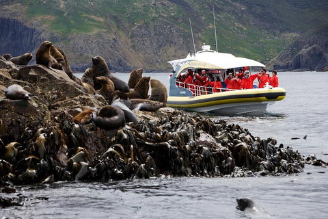 3-Hour Bruny Island Cruise From Adventure Bay, Bruny Island - Events Australia 4