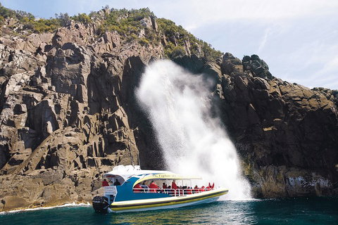 3-Hour Bruny Island Cruise From Adventure Bay, Bruny Island - Events Australia 5