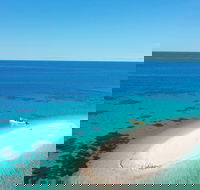 Ocean Safari Great Barrier Reef Experience in Cape Tribulation - Events Australia