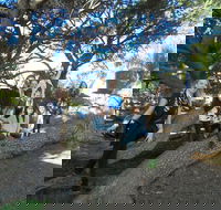 1/2 day Swan Valley Wine Cheese  Chocolate Tour Inc Afternoon Cruise to Perth - Events Australia