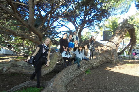 1/2 Day Swan Valley Wine Cheese & Chocolate Tour Inc Afternoon Cruise To Perth - Events Australia 0