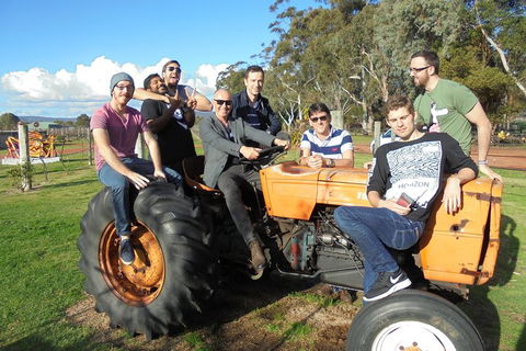 1/2 Day Swan Valley Wine Cheese & Chocolate Tour Inc Afternoon Cruise To Perth - Events Australia 1