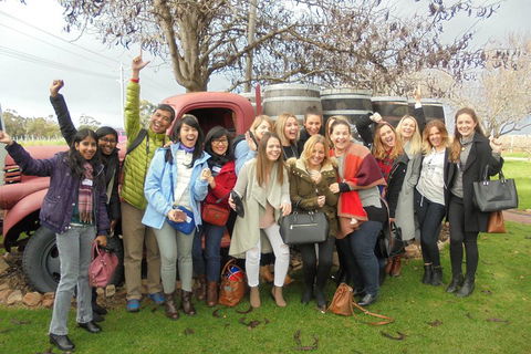1/2 Day Swan Valley Wine Cheese & Chocolate Tour Inc Afternoon Cruise To Perth - Events Australia 5