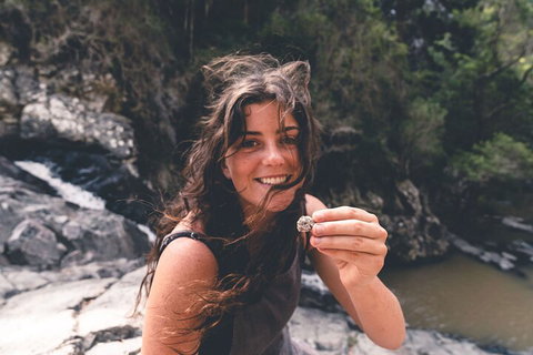 Springbrook AndTamborine Rainforest Tour Incl Natural Bridge And Glow Worm Cave - Events Australia 1