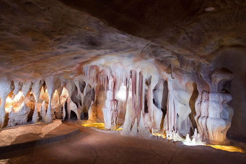 Springbrook AndTamborine Rainforest Tour Incl Natural Bridge And Glow Worm Cave - Events Australia 4