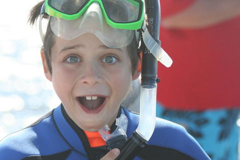 Dolphin Cruise From Adelaide With Optional Dolphin Swim - Events Australia 3